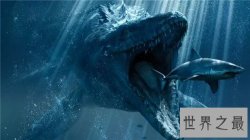 深海巨兽都有哪些 全球最大深海巨兽竟然是它