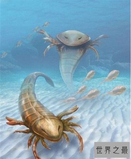 史前巨型昆虫盘点，你从未见过的巨大版本