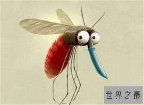 蚊子怕什么 夏季驱赶蚊子生活小窍门