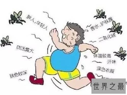 蚊子喜欢叮咬什么血型的人 蚊子为什么会叮咬人