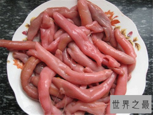 单环刺螠是什么 已成为日本和朝鲜的名贵海鲜