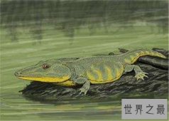 虾蟆螈以吃恐龙生存 已灭绝的史前恐怖生物