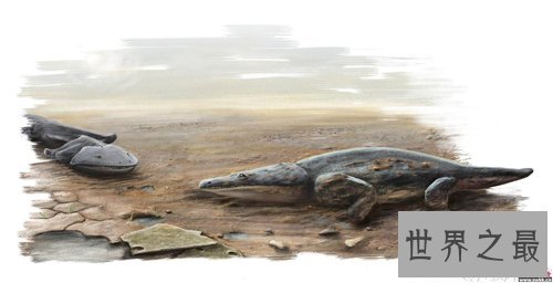 虾蟆螈以吃恐龙生存 已灭绝的史前恐怖生物