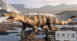 狗鳄拥有快速奔跑能力 能一口咬死剑齿虎