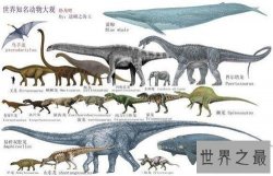 易碎双腔龙是真的存在吗 为何它的化石会神秘消失