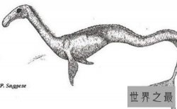 卡布罗龙形态特征介绍 曾有人目击它的出现