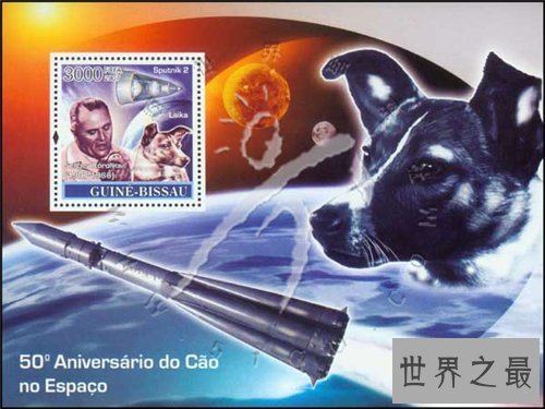 世界名狗都有哪些 著名的忠犬八公感动众人