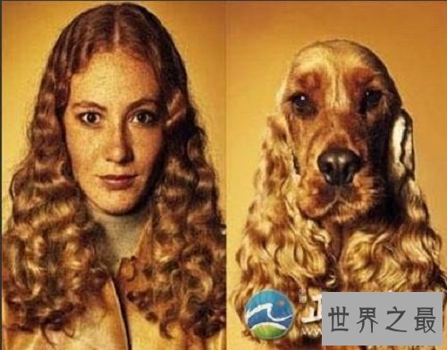 人面狗，据说这种狗的长相是随主人的？？？