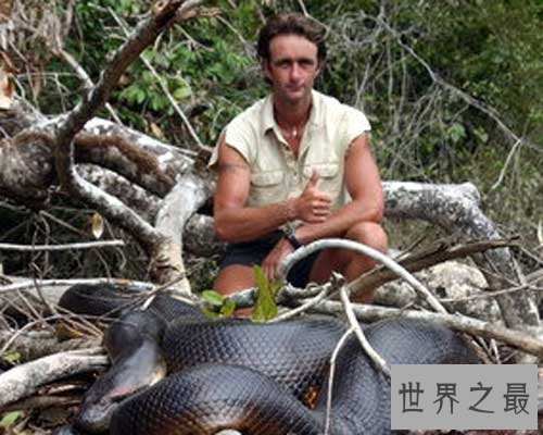 蟒之种类大盘点，你知道哪几种？