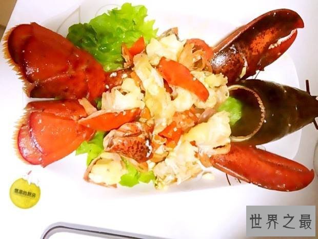 最大的骗局——波士顿龙虾它竟然是个骗子！