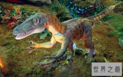 世界上最小的恐龙，美颌龙最长都只有1米