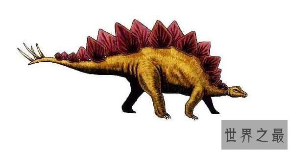 世界上脑最小的恐龙剑龙，脑重70克(两个鸡蛋都没有)