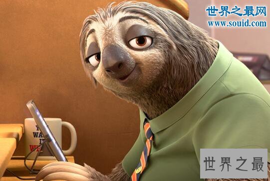 世界上最懒的动物，树懒慢到极致(0.2米/秒)