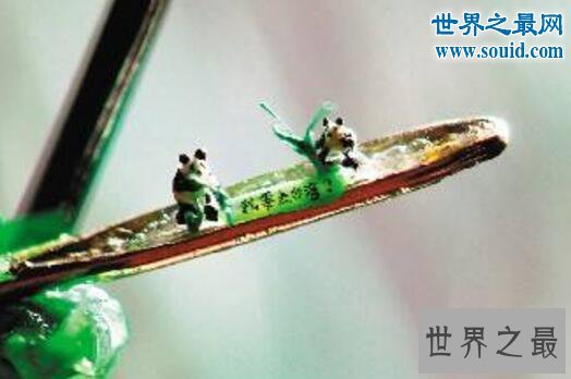 世界上最小的熊猫，体重仅有51克的熊猫宝宝