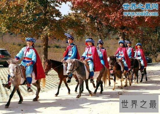 世界上最矮的马，中国德保矮马(仅80厘米)