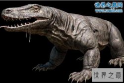 世界上最大的蜥蜴，古巨蜥(长7米/重1240斤)