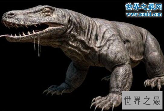 世界上最大的蜥蜴，古巨蜥(长7米/重1240斤)