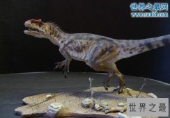 智商最高的恐龙异特龙，位于食物链顶端