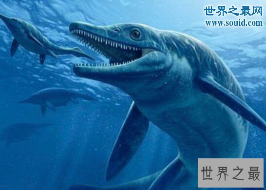 世界上最大的硬骨鱼类,身长27米的利兹鱼(鲸鲨都是它小弟)