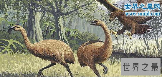 十大最珍稀已灭绝的动物，50亿只旅鸽被人吃到灭绝