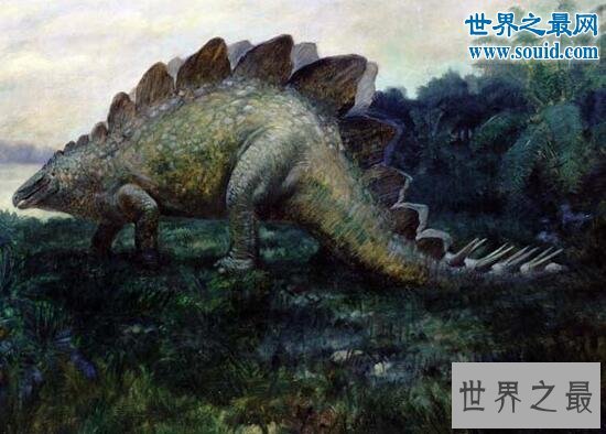 世界十大恐龙之最，最凶猛的恐龙是霸王龙