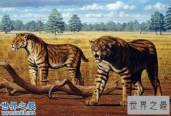 十大最可能死而复生的史前巨兽，你最期待谁？