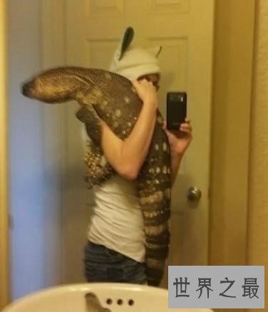 世界上最大的宠物，舌头比人的脑袋还大的宠物狗