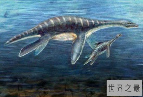 史前最恐惧的十大动物，史前巨鱼瞬间将鲨鱼撕成两半