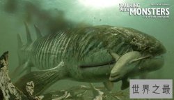 史前最恐惧的十大动物，史前巨鱼瞬间将鲨鱼撕成两半