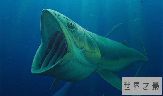 史前最恐惧的十大动物，史前巨鱼瞬间将鲨鱼撕成两半
