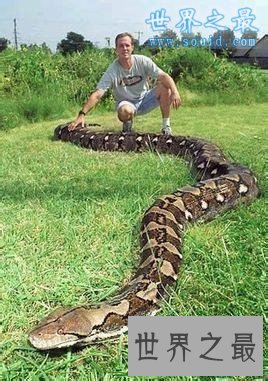 蛇的寿命？世界上年龄最大的蛇(1867年)