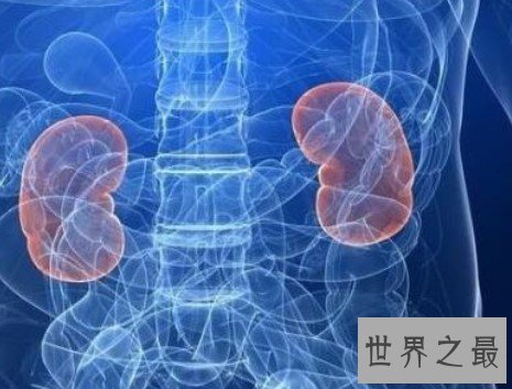 世界上肾最多的人,同时能拥有5个肾