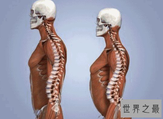 世界上腹部承重最强的人,可承受一辆大卡车的重量