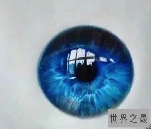 人体含水量百分比最高的器官,眼球水含量高达99%