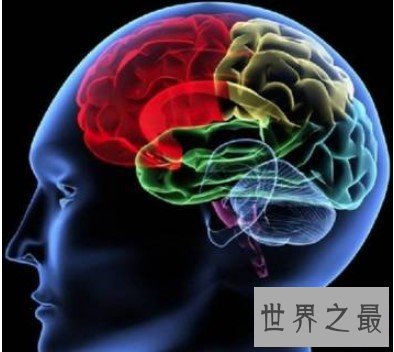 世界上最罕见的病症,能记住所有事