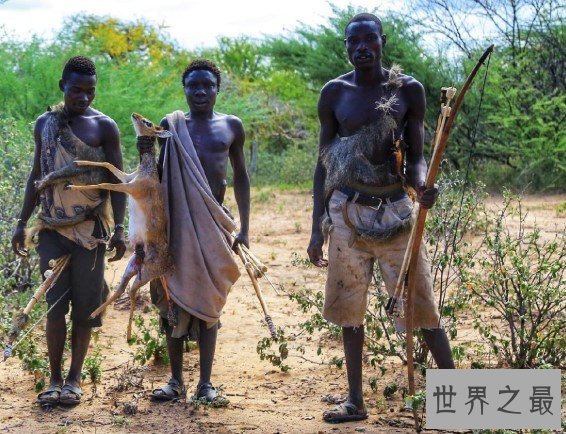 世界上最古老的民族,布须曼人一夫多妻