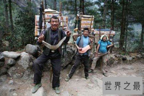世界上最闻名的夏尔巴人,攀登珠峰,薪酬可观