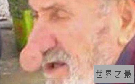 世界上最长的鼻子,竟比手机还长!