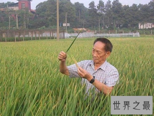 袁隆平身价多少亿？世界首富当之无愧！