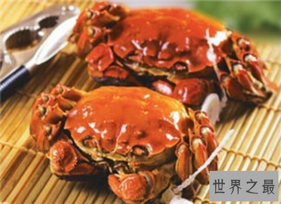 吃螃蟹不能吃什么 这些食物都和螃蟹是相克食物千万不能吃
