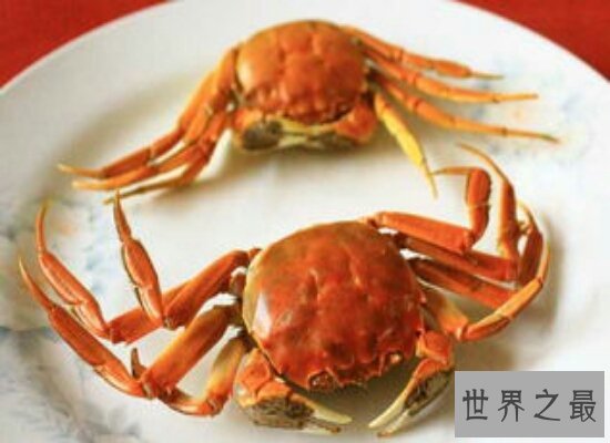 吃螃蟹不能吃什么 这些食物都和螃蟹是相克食物千万不能吃