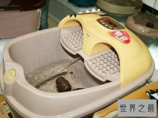 足浴盆哪个牌子好？泰昌足浴盆号称CCTV战略合作品牌