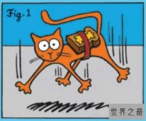 黄油猫悖论：宇宙将成为人类的奴仆