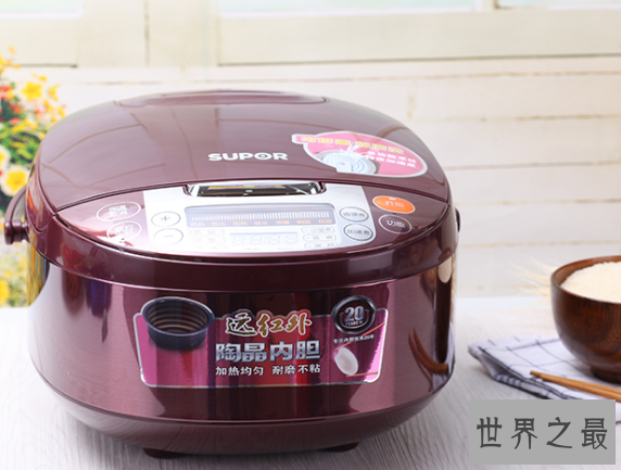 电饭煲哪个牌子好，8款电饭煲让你从厨房小白变身田螺姑娘