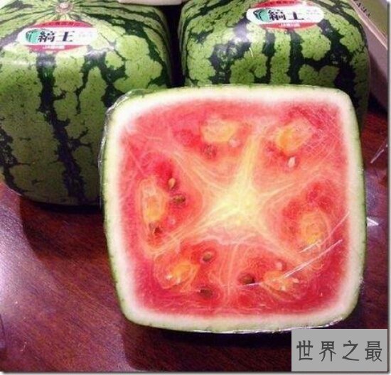 日本爆出天价方形西瓜  900元一个你敢买吗