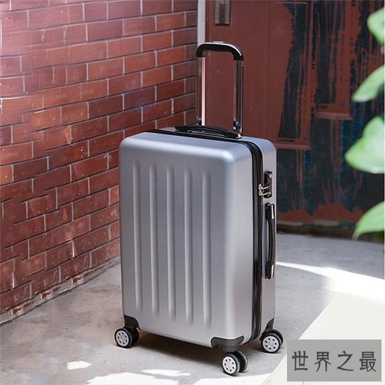 十大性价比最高的拉杆箱品牌 新秀丽成为当下最理想的首选