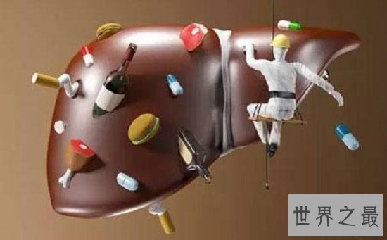 肝的位置在5到9肋骨之间，肝脏不好要忌口