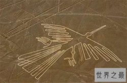 十大世界未解之谜 从古至今一直存在科学无法解释