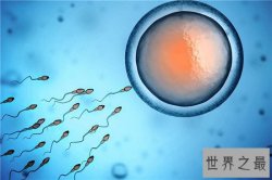 男性精子可以吃吗 吃精子的六大好处让你越来越美