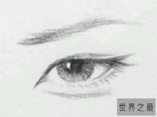 丹凤眼是什么样的呢？看刘亦菲就好了